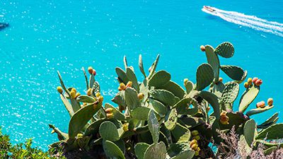 Reseförsäkringar inför resan.